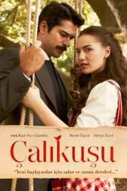 Calikusu VOSTFR – Streaming en Français VOSTFR