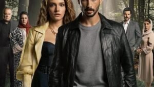 « Hudutsuz Sevda » : où voir cette série turque en français et en VOSTFR ?