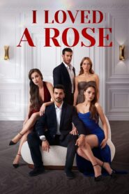 Ask Yarasi VOSTFR