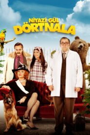 Niyazi Gül Dörtnala VOSTFR