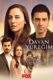 Dayan Yuregim VOSTFR – Streaming en Français VOSTFR
