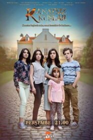 Kanatsiz Kuslar – Ailes Brisées VOSTFR