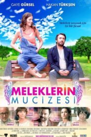 Meleklerin Mucizesi VOSTFR